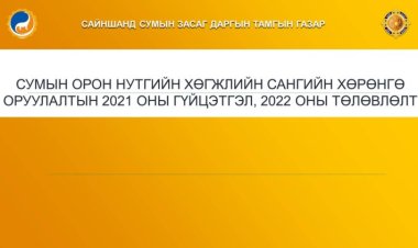 СУМЫН ОРОН НУТГИЙН ХӨГЖЛИЙН САНГИЙН ХӨРӨНГӨ ОРУУЛАЛТЫН 2021 ОНЫ ГҮЙЦЭТГЭЛ, 2022 ОНЫ ТӨЛӨВЛӨЛТ