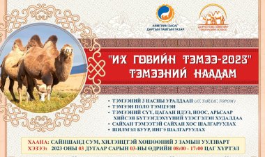 “ИХ ГОВИЙН ТЭМЭЭ-2023” ТЭМЭЭНИЙ НААДАМ 3 ДУГААР САРЫН 3-НЫ ӨДӨР БОЛНО