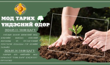 ХАВРЫН БҮХ НИЙТЭЭР МОД ТАРИХ ӨДӨРТ ЗОРИУЛСАН ҮЗЭСГЭЛЭН ХУДАЛДАА БОЛНО.