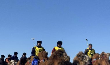 “ИХ ГОВИЙН ТЭМЭЭ-2025” ТЭМЭЭНИЙ БАЯР, УЛСЫН ЗӨВЛӨГӨӨН ЗОХИОН БАЙГУУЛАГДАЖ БАЙНА