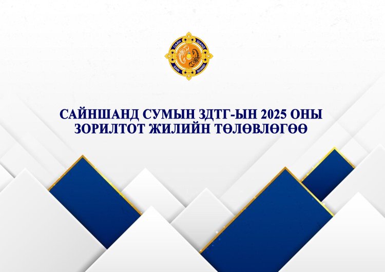 САЙНШАНД СУМЫН ЗДТГ-ЫН 2025 ОНЫ ЗОРИЛТОТ ЖИЛИЙН ТӨЛӨВЛӨГӨӨ