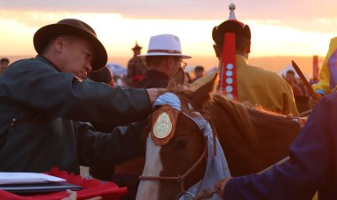 “МОРЬТОН СОЁЛ” БЭСРЭГ НААДМЫН ТЭМЦЭЭНҮҮДИЙН ШИЛДГҮҮД ТОДОРЛОО